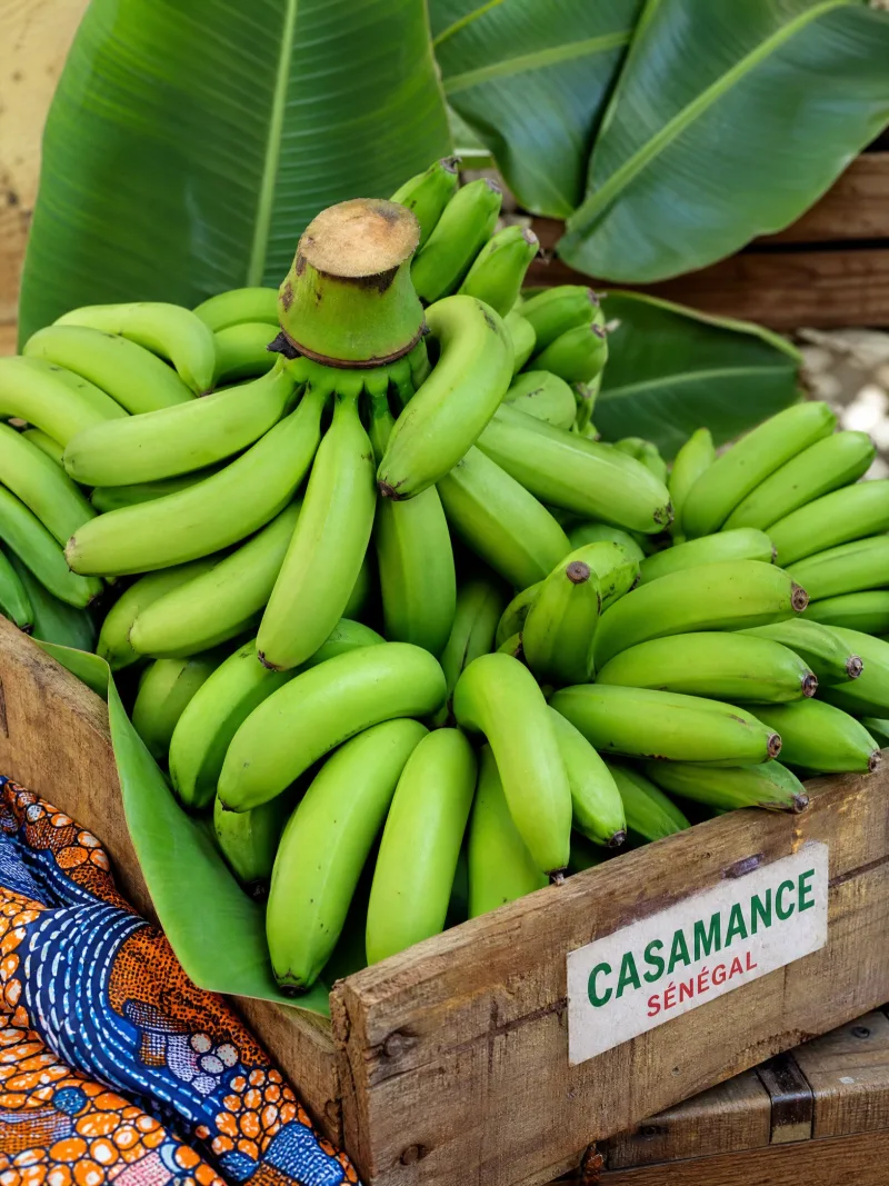 Bananes de Casamance